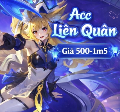 ACC LQ 500-1M5
